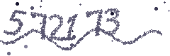 Image with the verification code