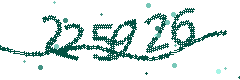 Security verification code