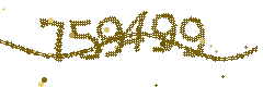 Image with the verification code