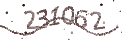 Image with the verification code