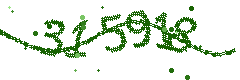 Image with the verification code
