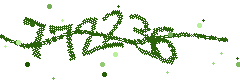 Image with the verification code