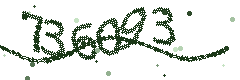 Image with the verification code