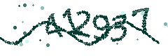 Image with the verification code
