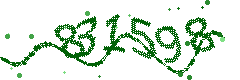 Image with the verification code