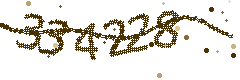 Image with the verification code
