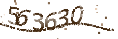 Image with the verification code