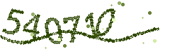 Image with the verification code