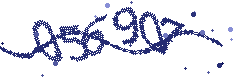 Image with the verification code
