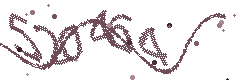 Image with the verification code