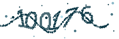Image with the verification code