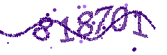 Image with the verification code