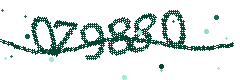 Image with the verification code