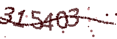 Image with the verification code