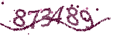 Image with the verification code
