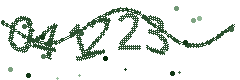 Image with the verification code