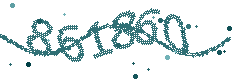 Image with the verification code