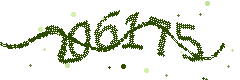 Image with the verification code