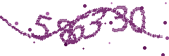 Image with the verification code