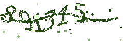 Image with the verification code