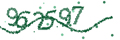 Image with the verification code