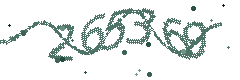 Security verification code