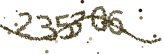 Image with the verification code