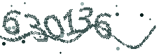 Image with the verification code