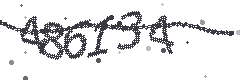 Security verification code