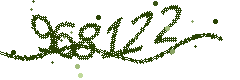 Security verification code