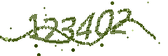 Image with the verification code