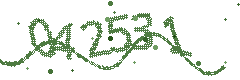 Security verification code