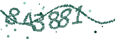 Image with the verification code