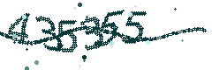 Security verification code