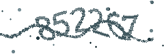 Image with the verification code