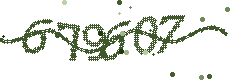 Image with the verification code