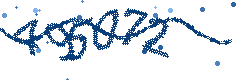 Security verification code