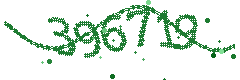 Image with the verification code