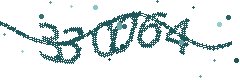 Security verification code
