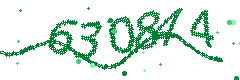Image with the verification code