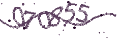 Image with the verification code