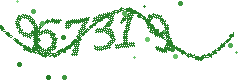 Image with the verification code