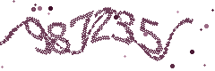 Image with the verification code