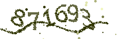 Image with the verification code