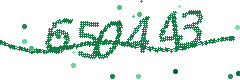 Security verification code