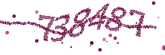 Image with the verification code