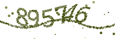 Image with the verification code