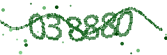 Image with the verification code