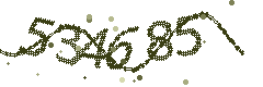 Security verification code