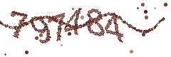 Image with the verification code